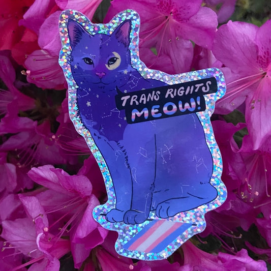 Trans Rights Meow! | Constellation Cat | Glitter Vinyl Sticker (Glossy)