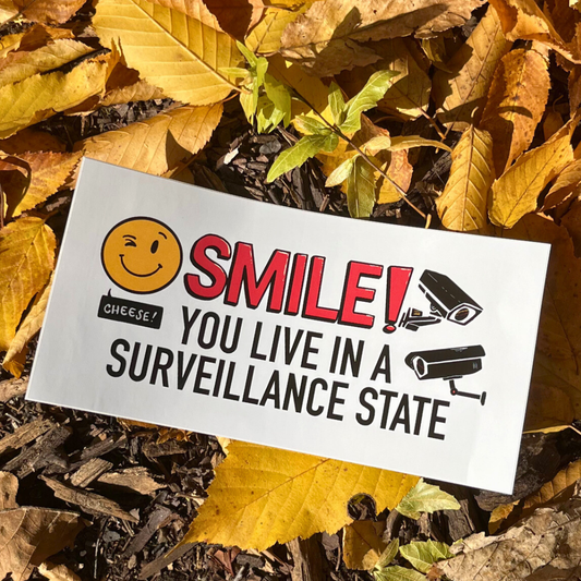 SMILE! You Live in a Surveillance State - Bumper Sticker