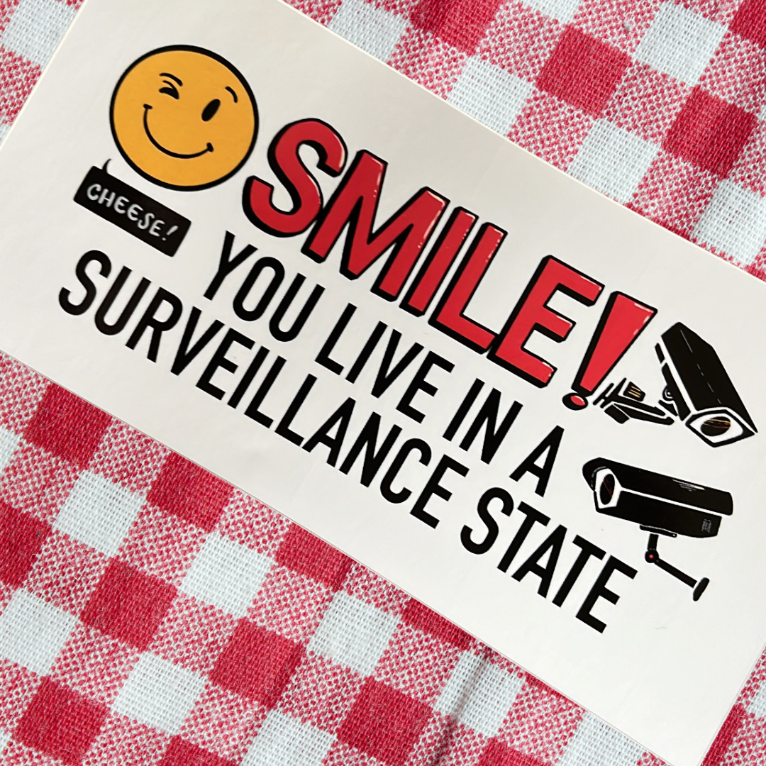 SMILE! You Live in a Surveillance State - Bumper Sticker