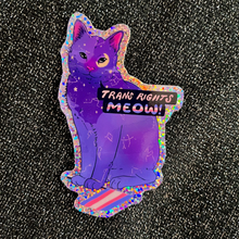 Load image into Gallery viewer, Trans Rights Meow! | Constellation Cat | Glitter Vinyl Sticker (Glossy)