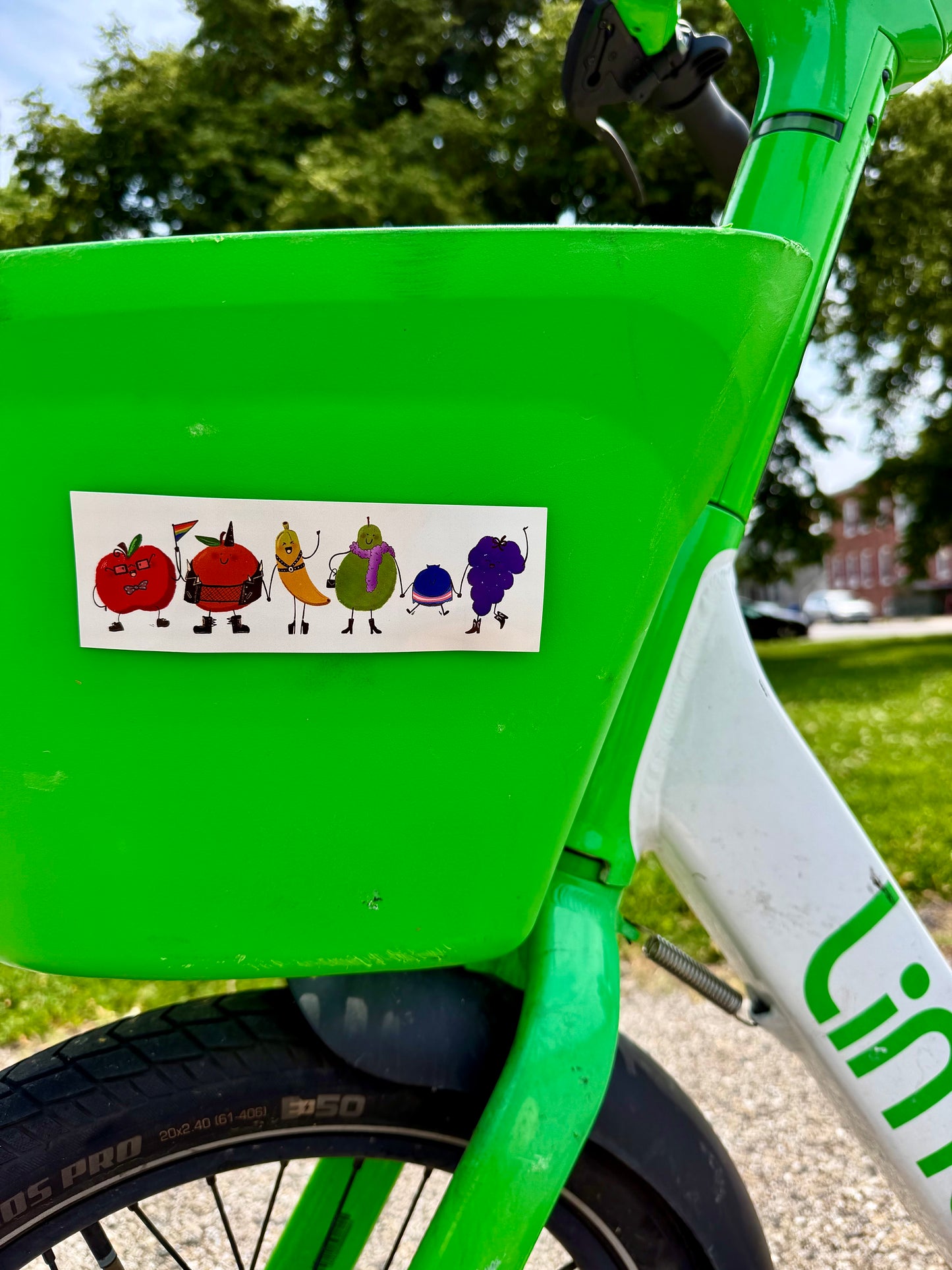 Queer Fruits | Rainbow Pride | Bumper Sticker (Glossy)