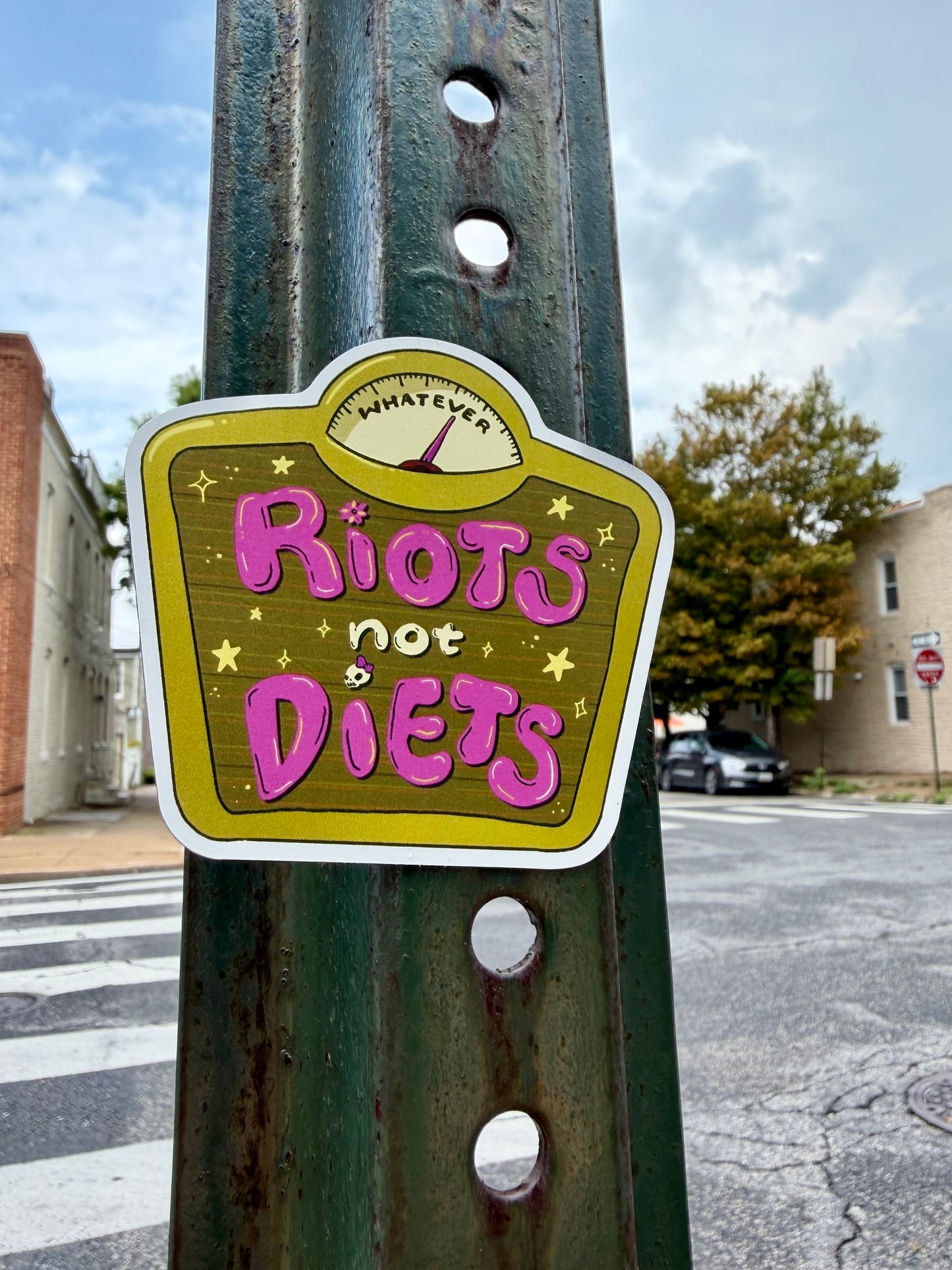 RIOTS! Not Diets - Anti-Diet Scale Magnet