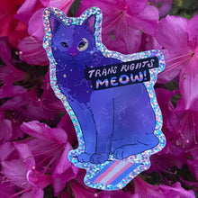 Load image into Gallery viewer, Trans Rights Meow! | Constellation Cat | Glitter Vinyl Sticker (Glossy)